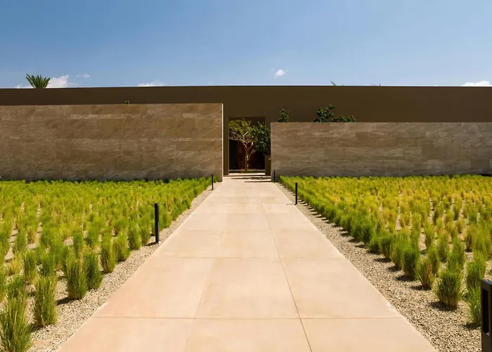 Hotel Jw Marriott Cabos & 5*